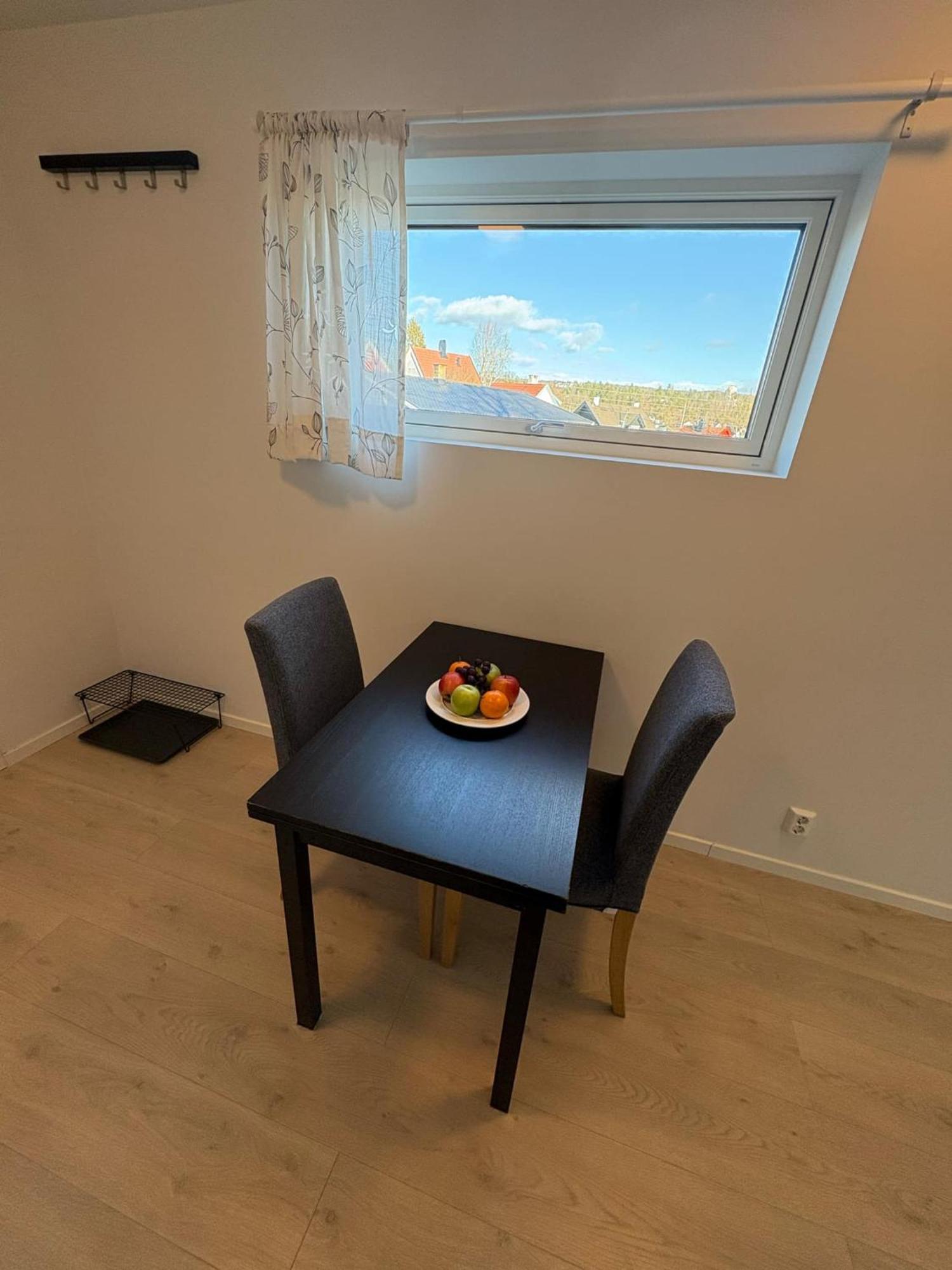 Temis Apartment, Private New 1 Bed Room And 1 Living Room With Sofa Bad And Lagre Kitchen, Share With Nobody Oslo Exterior foto